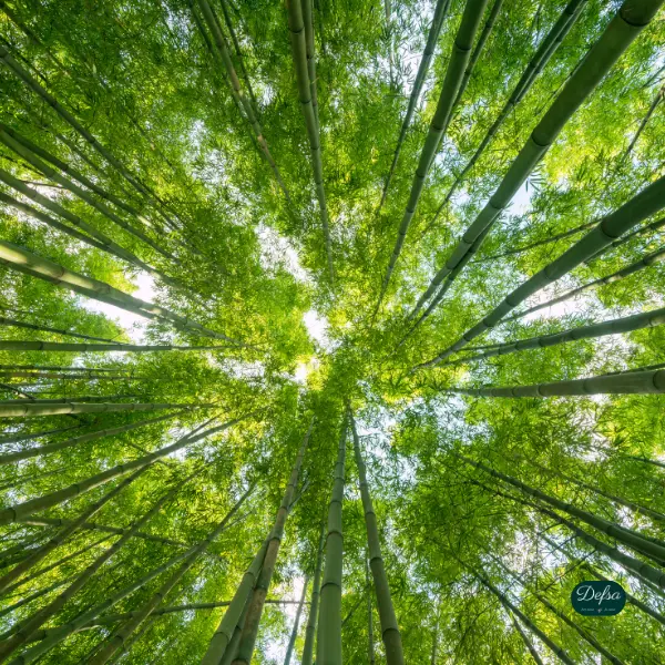 Handgemachte Seife vs. Industrieseife Was ist der Unterschied v2